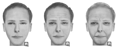 FACES 4.0 EDU age progression feature